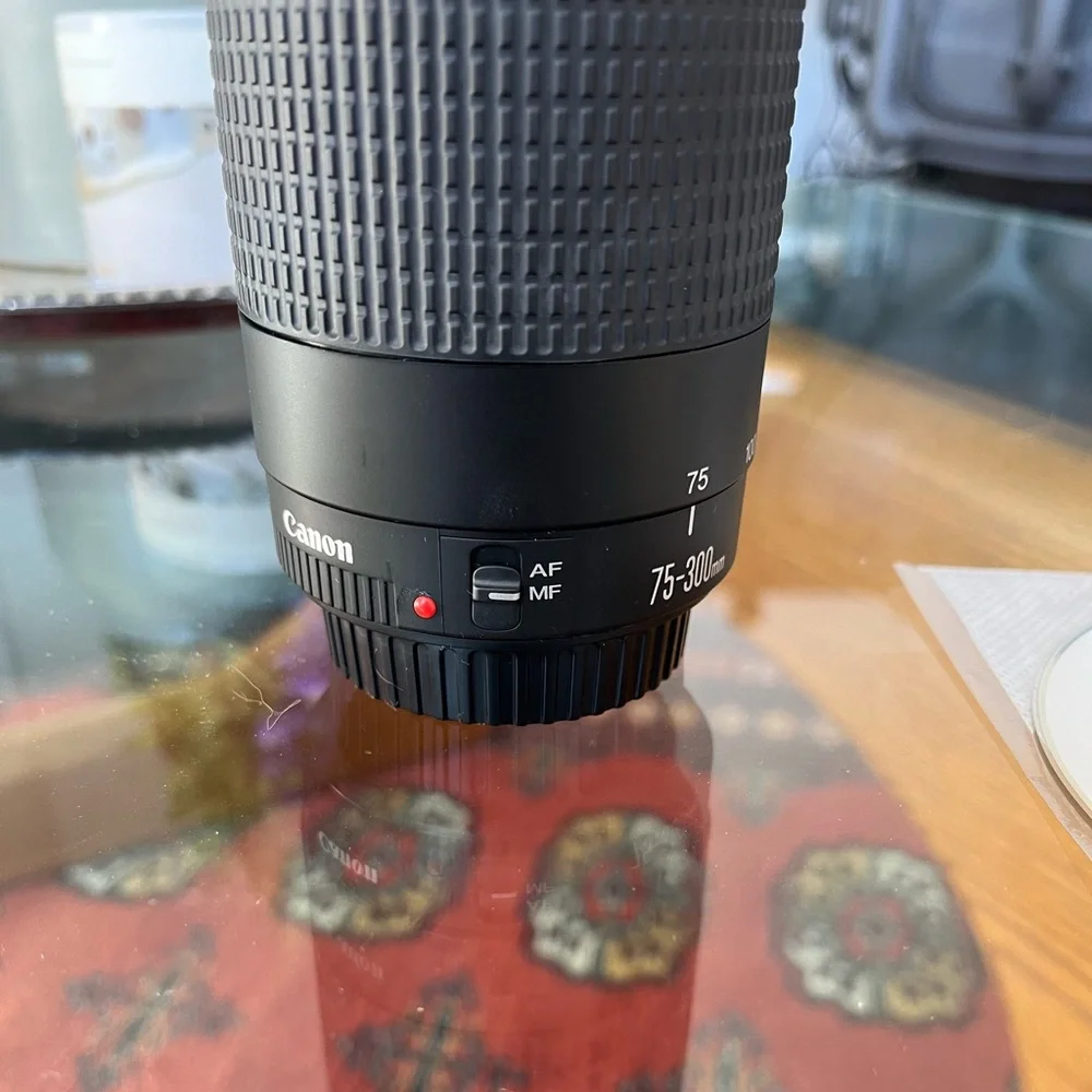 Canon EF 75-300mm f/4-5.6 iii